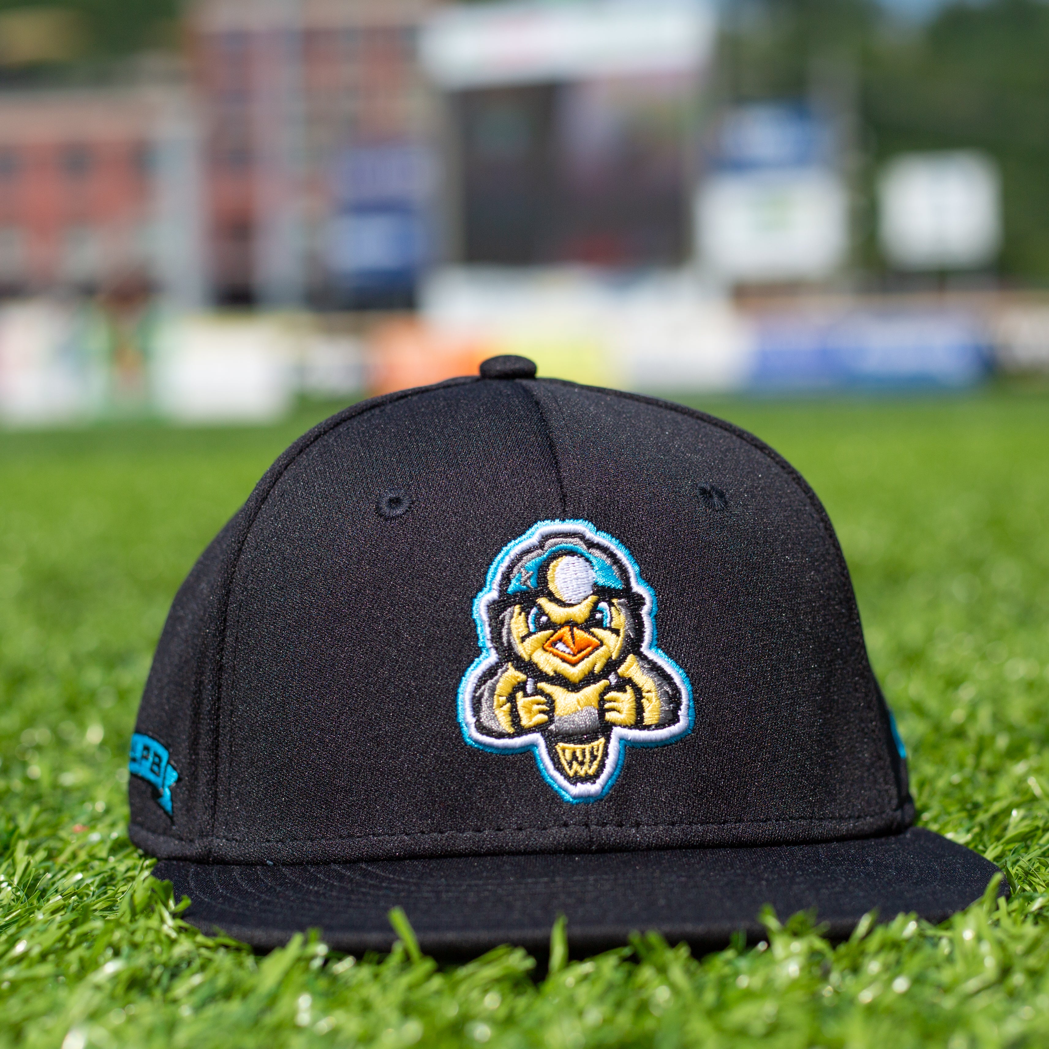 Trenton thunder store flex fit hats