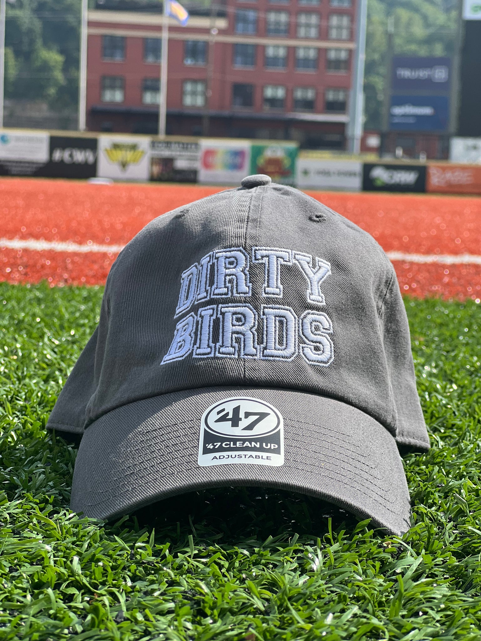 47 Brand Charcoal Dirty Birds Hat