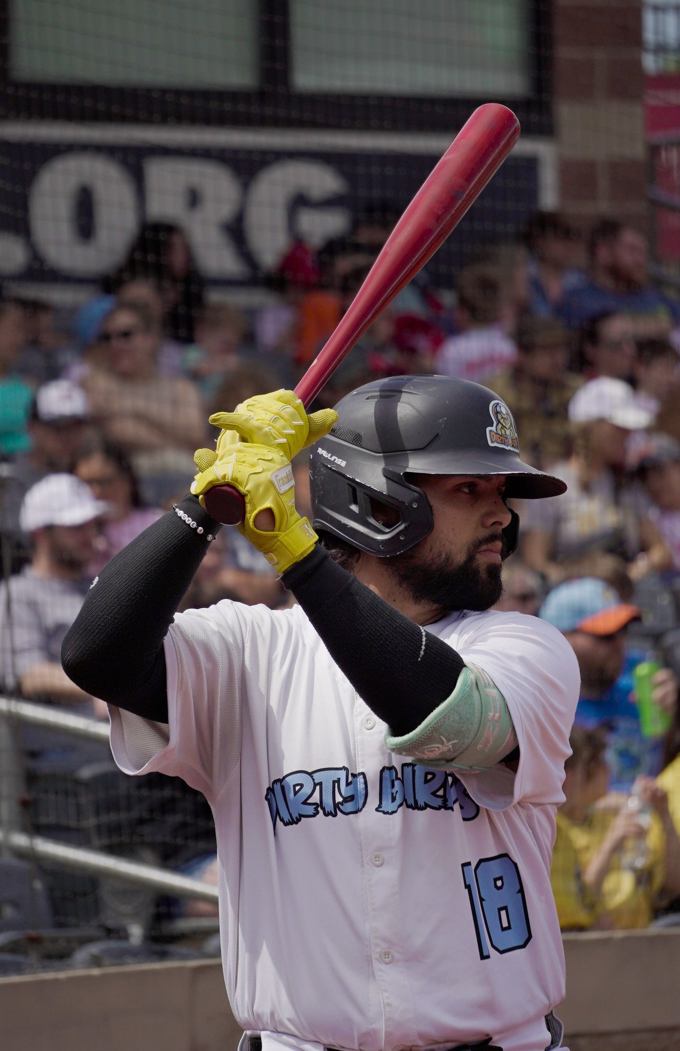 Birds Drop Second Game of the Double Header