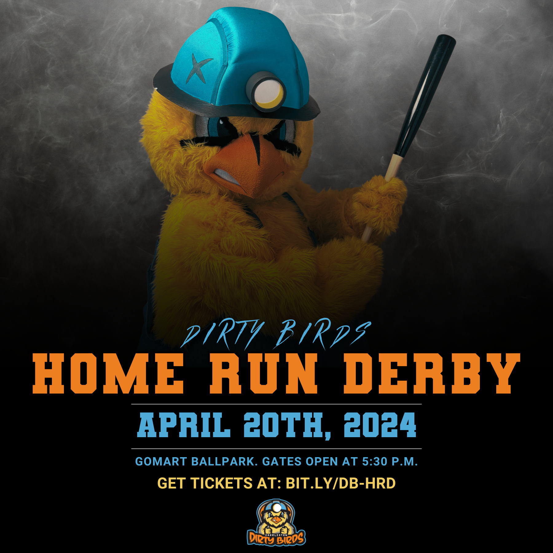 CHARLESTON DIRTY BIRDS TO HOST HOME RUN DERBY ON APRIL 20