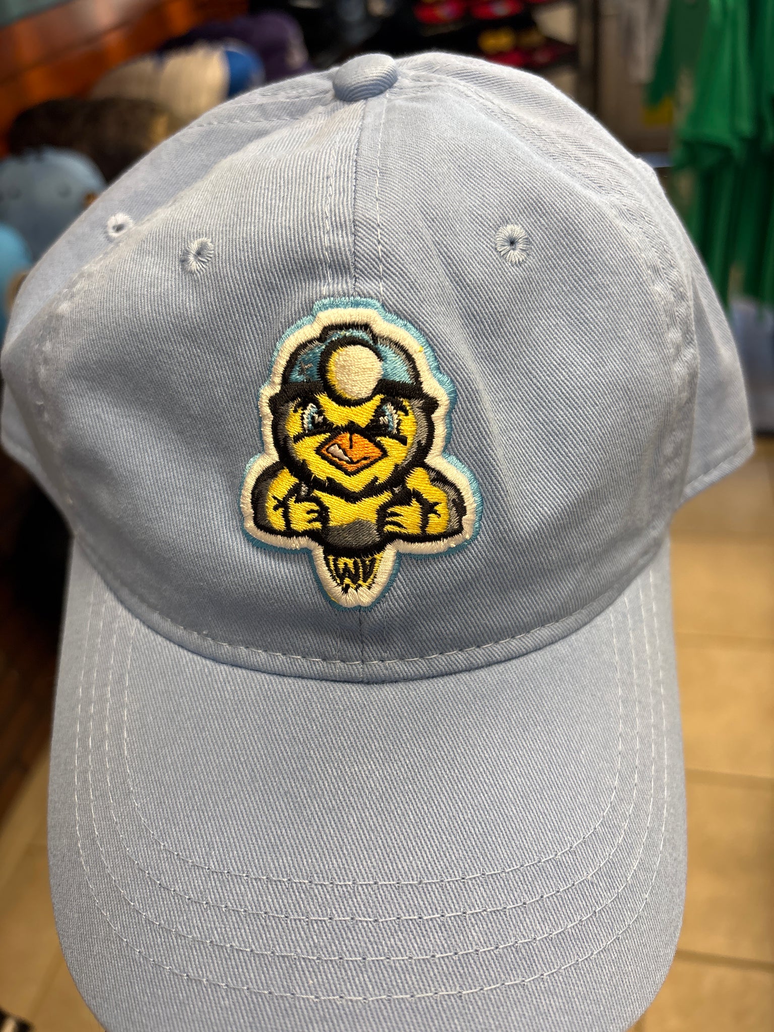 Blue Youth Hat