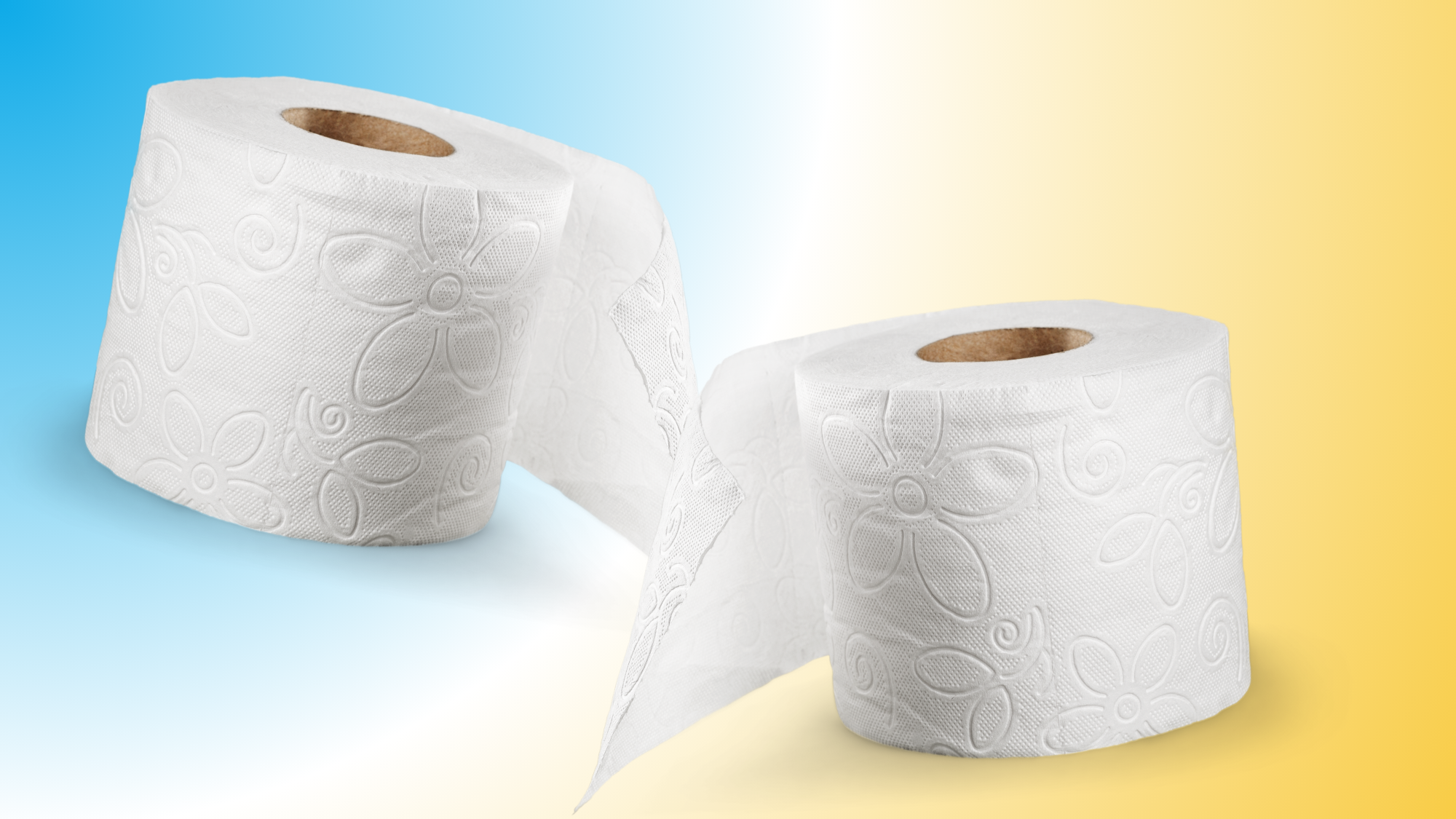toilet paper day